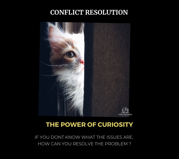 The Power of Curiosity in Conflict Resolution